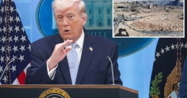 Trump hails the âvery sophisticatedâ gadget that âsavedâ downed F-15E crew member's lifeÂ 